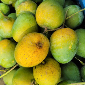 হিমসাগর 22 কেজি