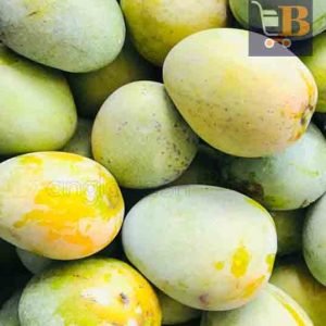 গোপালভোগ আম 1